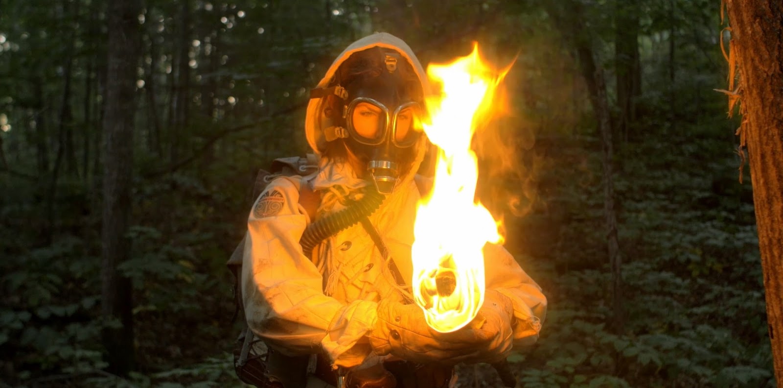 Фото - : 1600x792 / 124 Кб