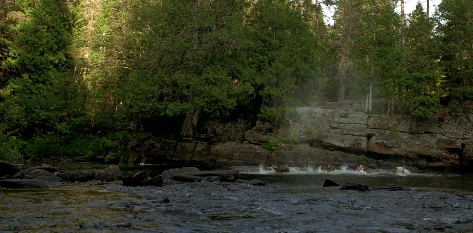 Фото - : 1600x790 / 257 Кб