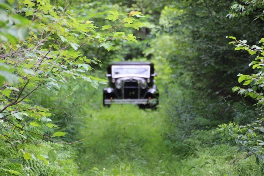 Фото - : 873x582 / 124 Кб