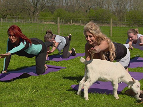 Фото - : 500x375 / 55 Кб