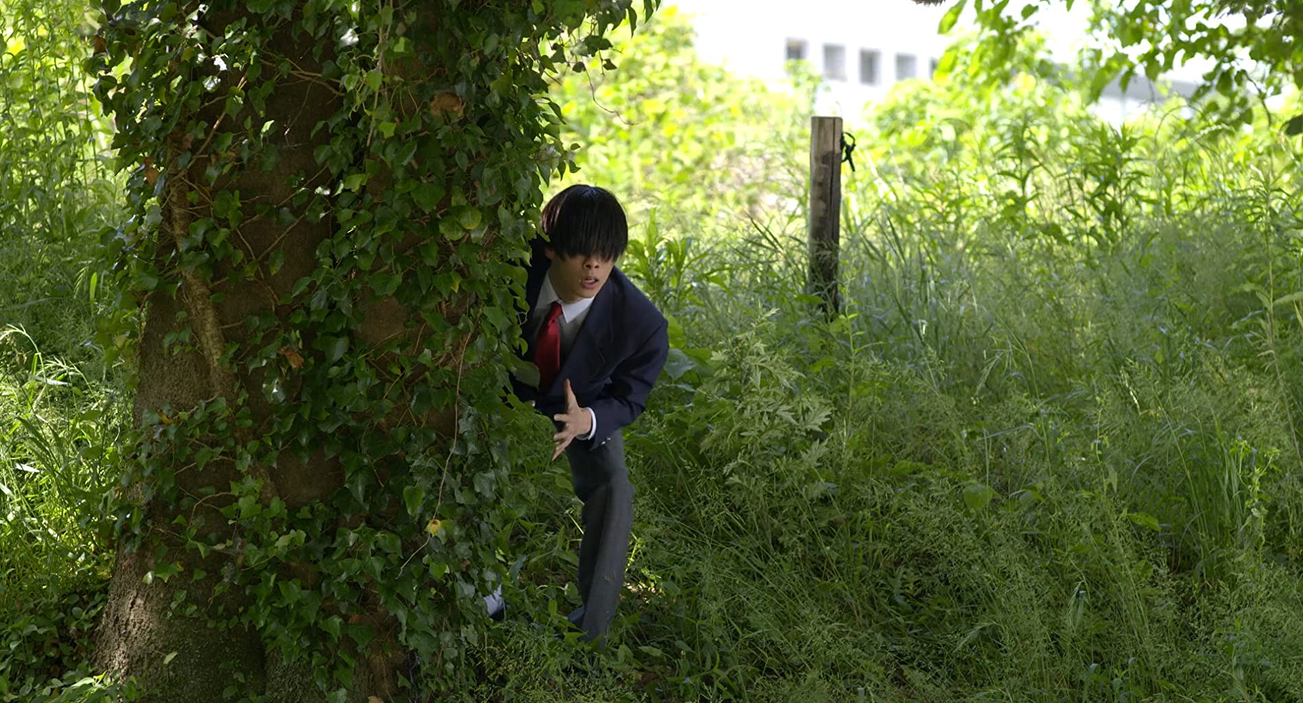 Фото - : 1898x1024 / 316 Кб