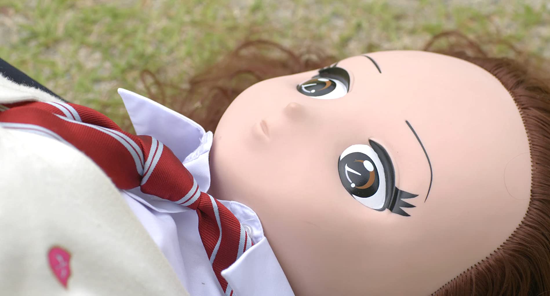 Фото - : 1898x1024 / 94 Кб