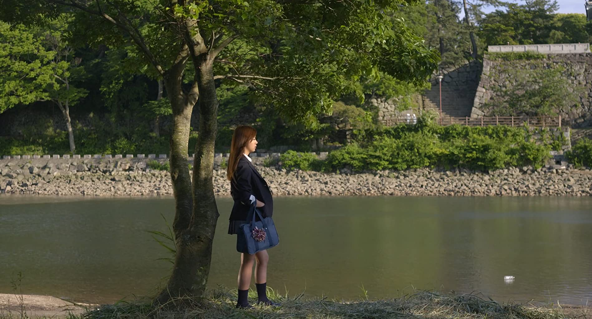 Фото - : 1898x1024 / 233 Кб