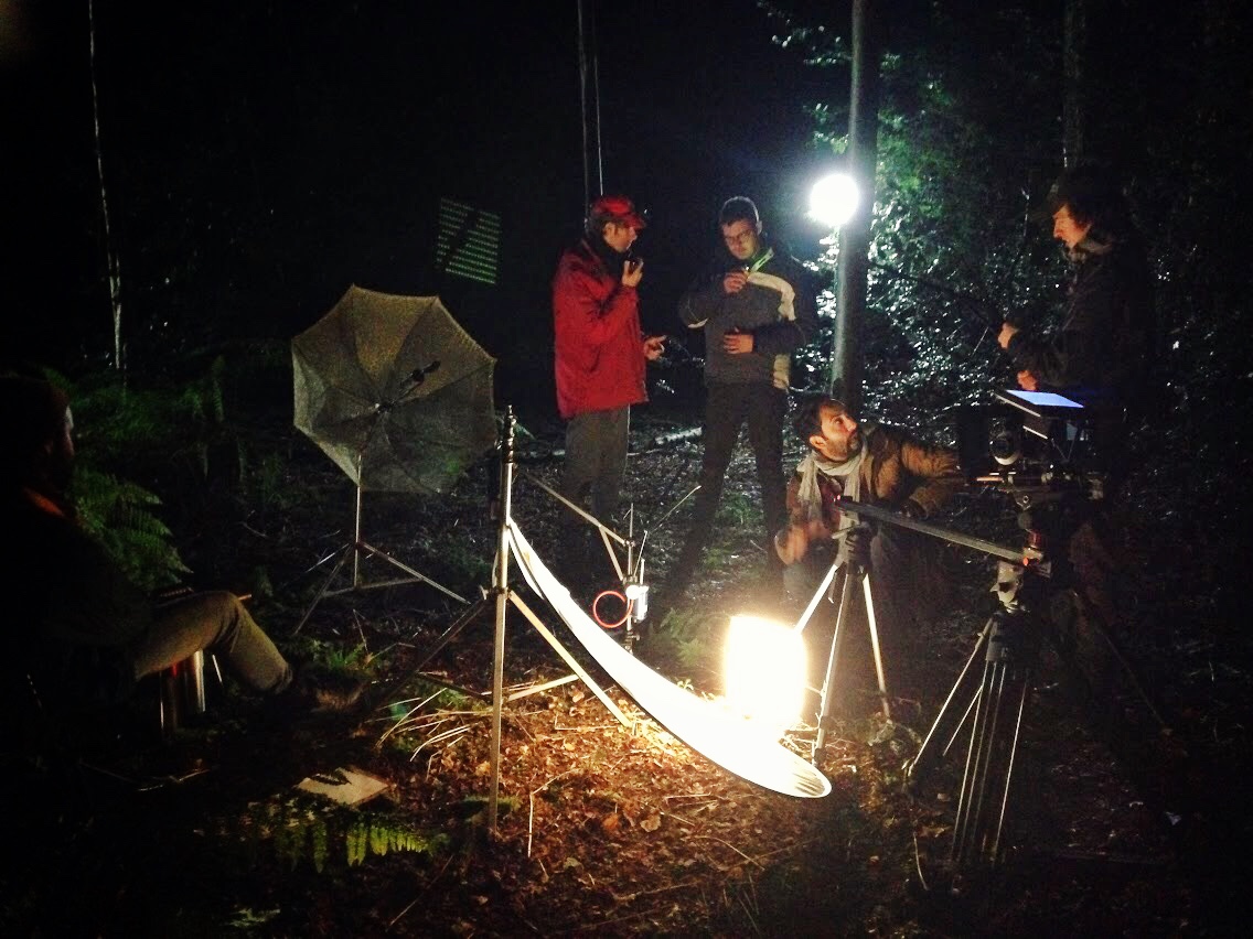 Фото - : 1136x852 / 253 Кб