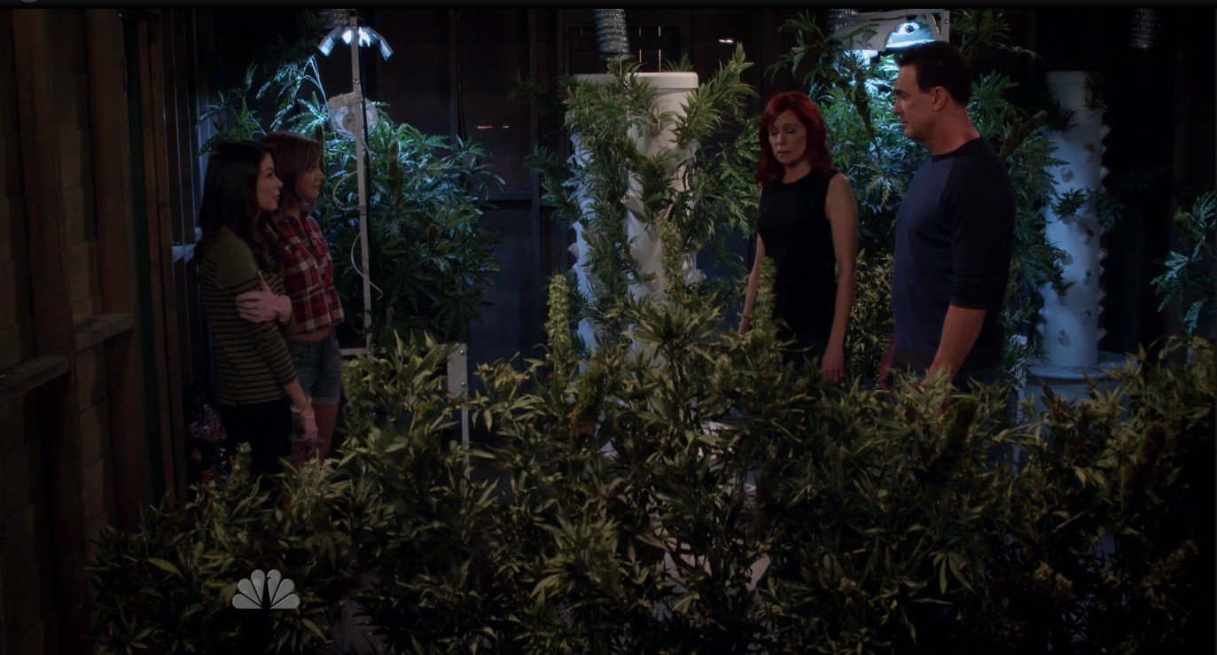 Фото - : 1373x739 / 183 Кб