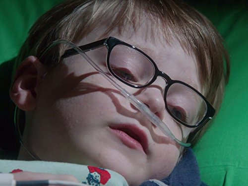 Фото - : 500x375 / 33 Кб