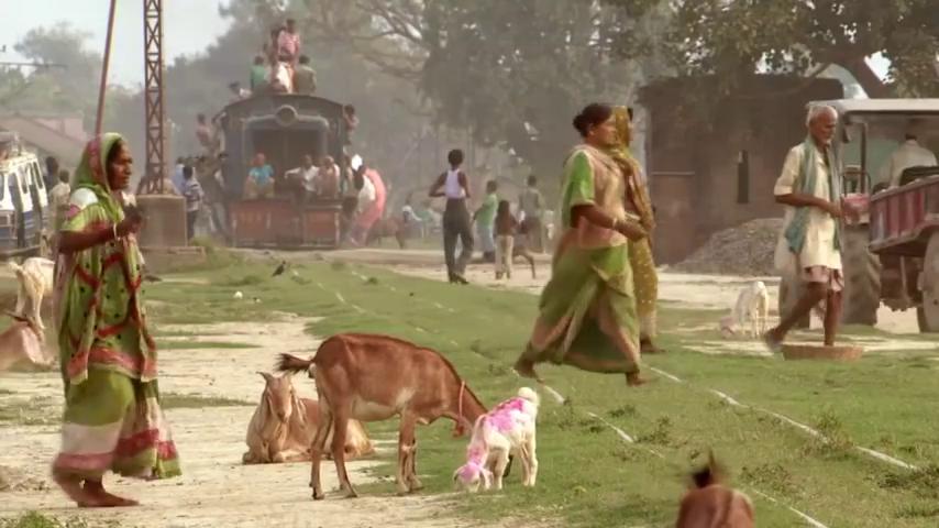 Фото - : 854x480 / 56 Кб