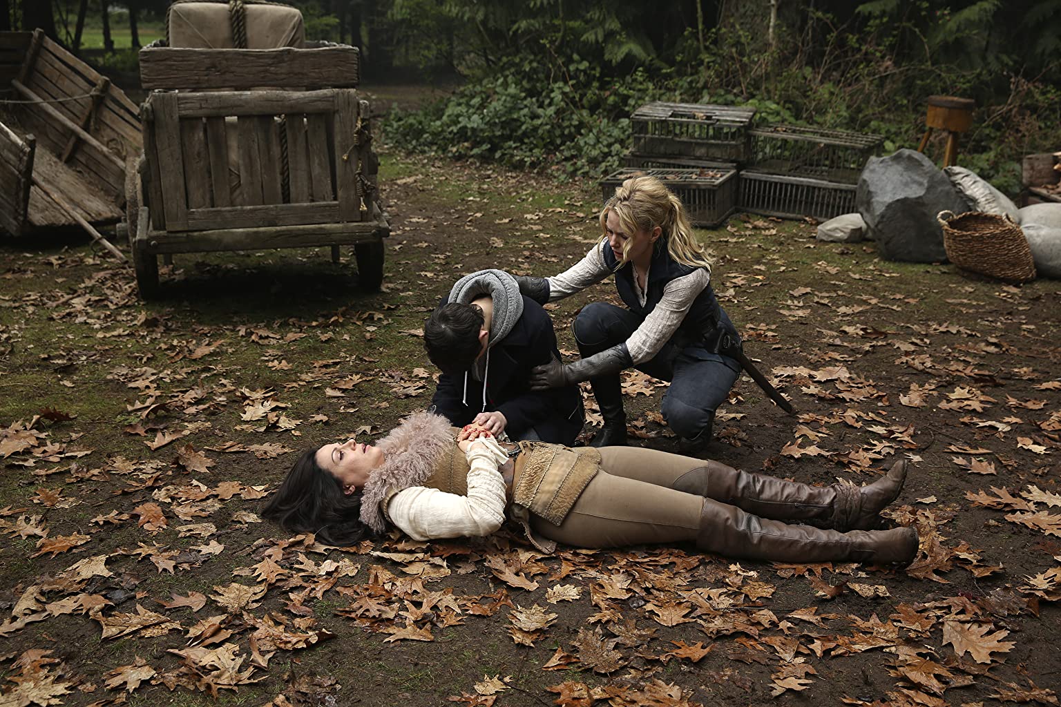 Фото - : 1536x1024 / 359 Кб