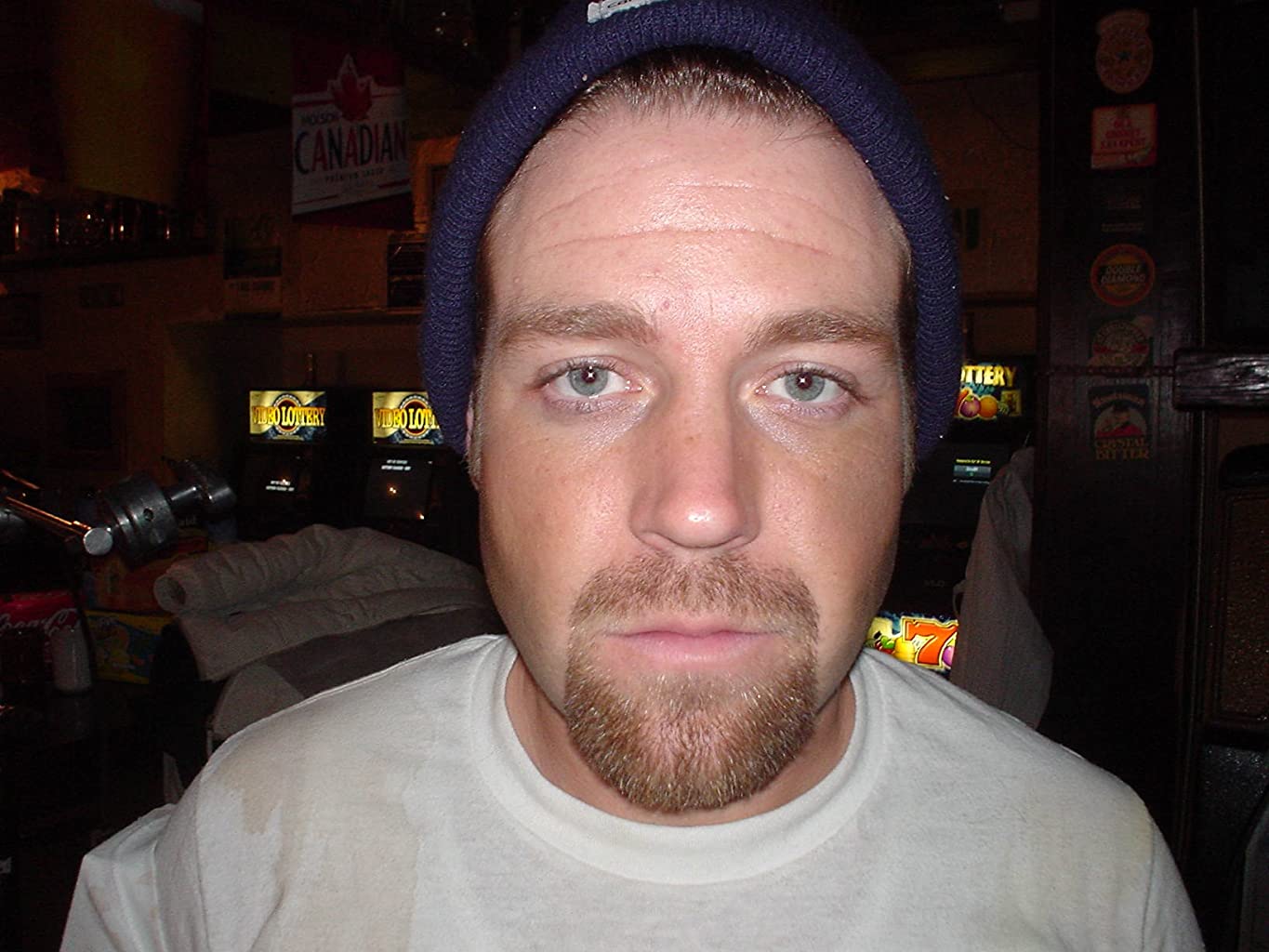 Фото - : 1365x1024 / 121 Кб