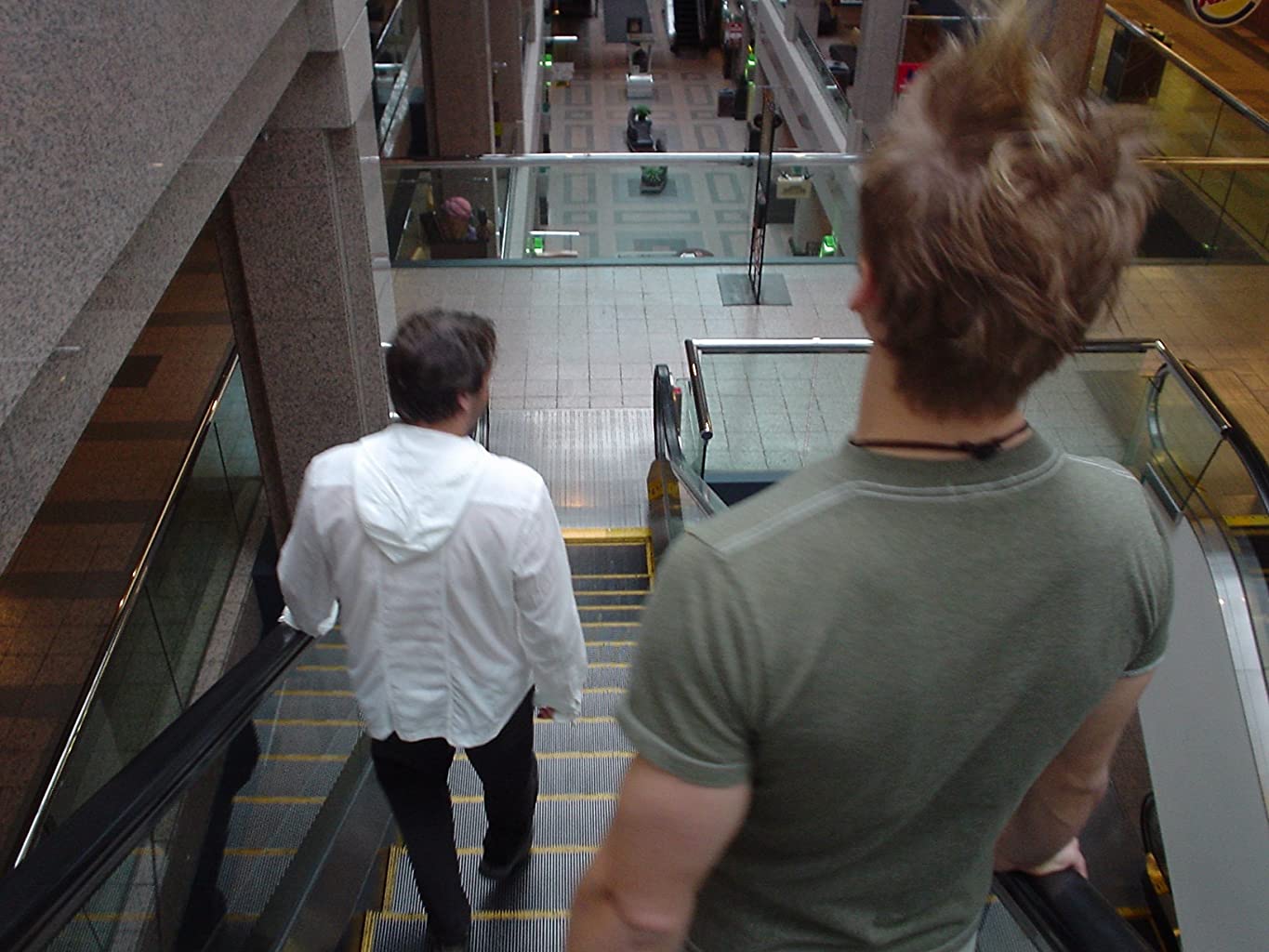 Фото - : 1365x1024 / 134 Кб