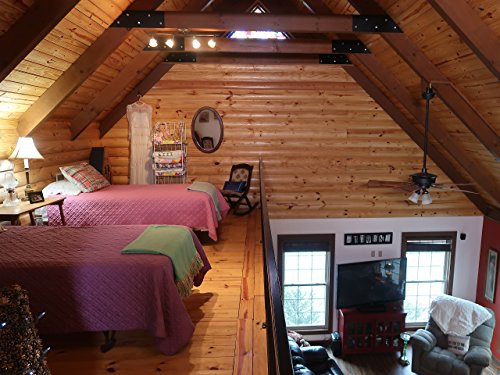 Фото - : 500x375 / 50 Кб