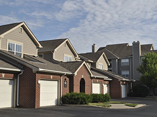 Фото - : 500x375 / 45 Кб