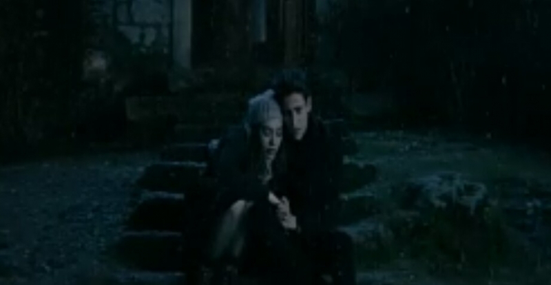 Фото - : 800x414 / 94 Кб