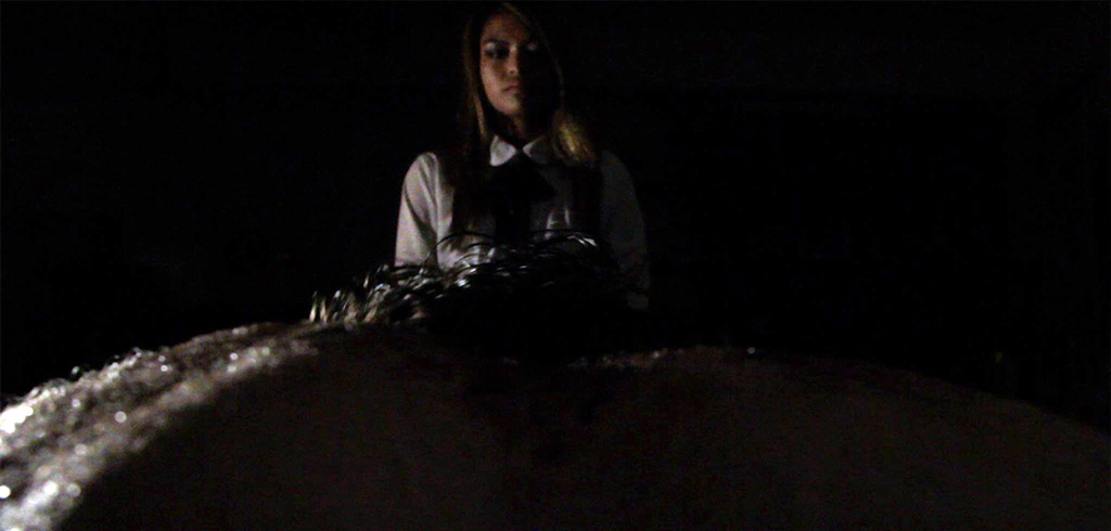 Фото - : 1024x490 / 80 Кб