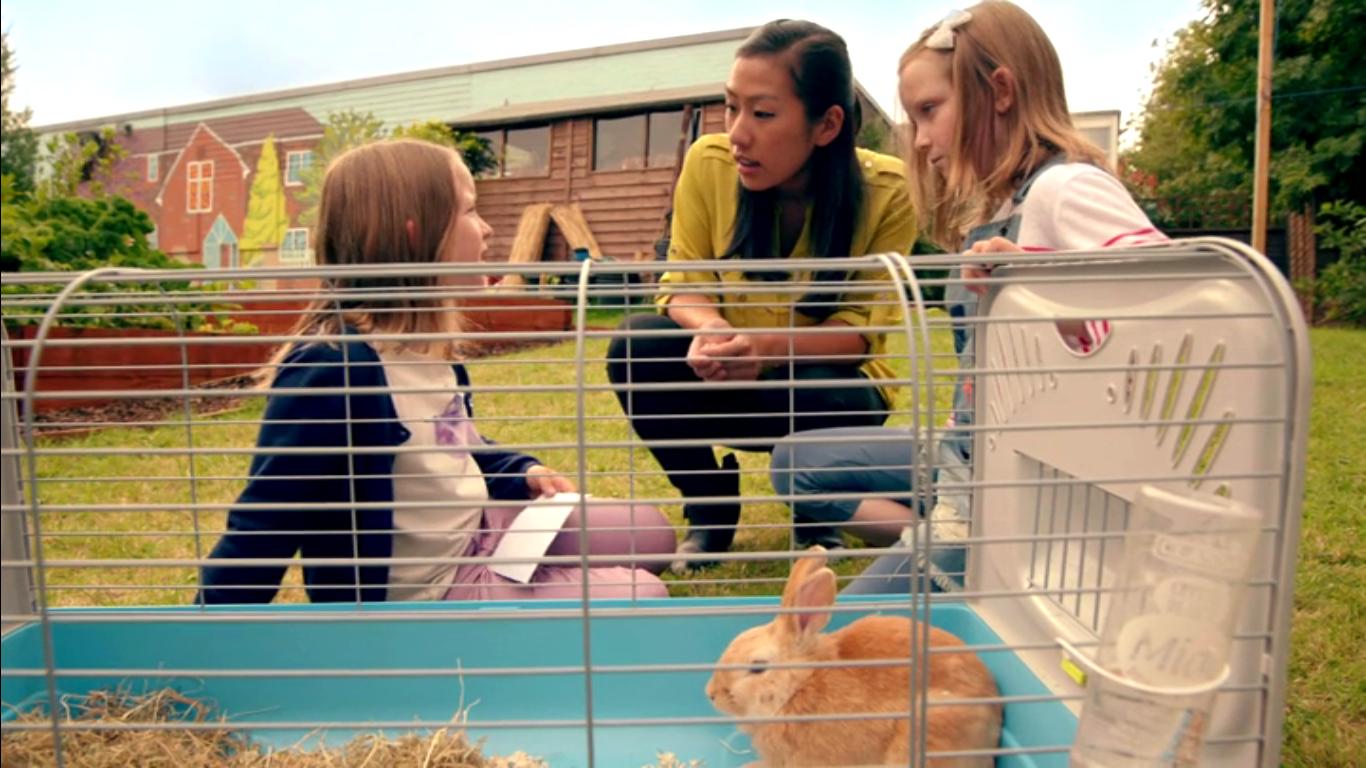 Фото - : 1366x768 / 131 Кб