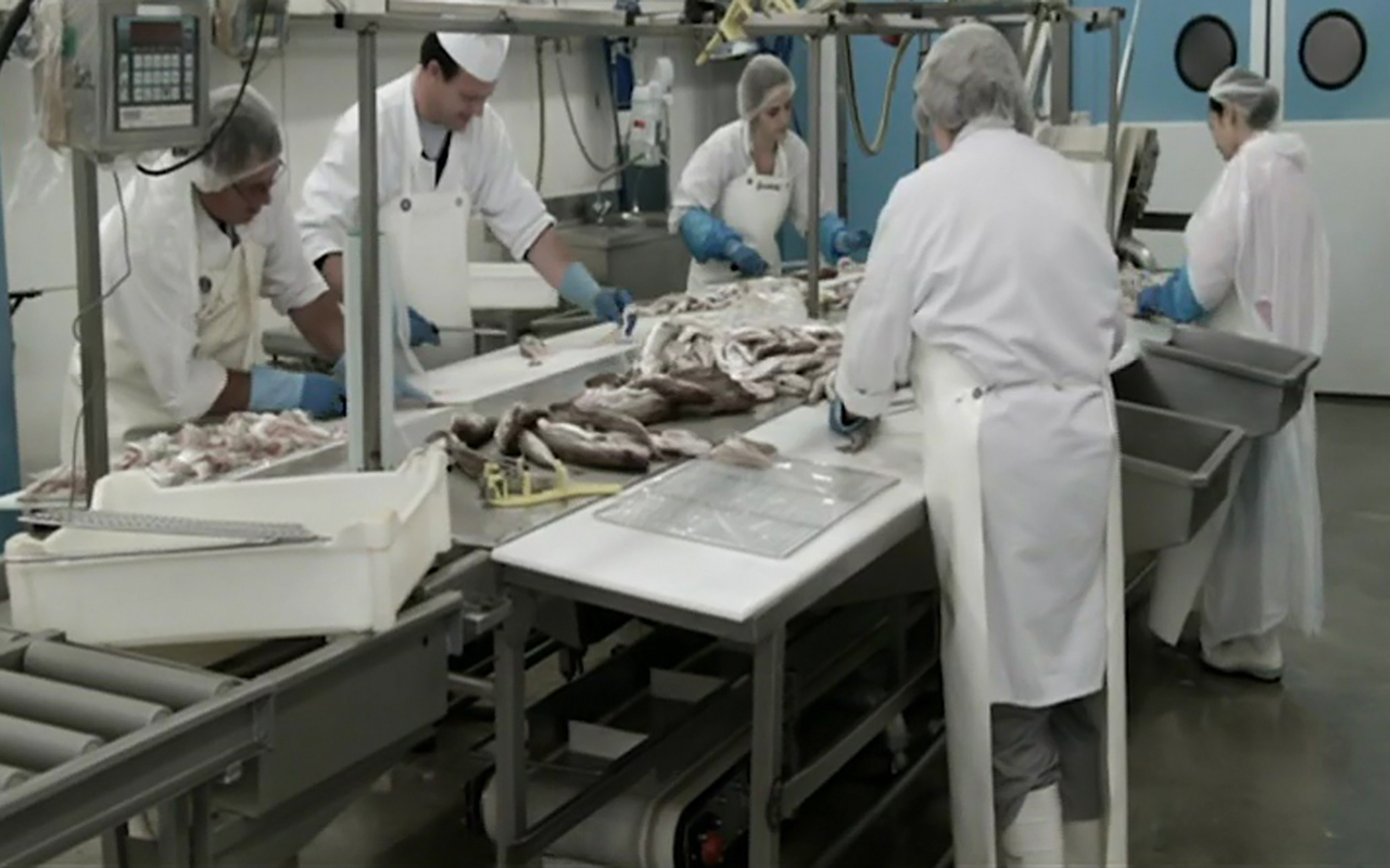 Фото - : 1280x800 / 519 Кб