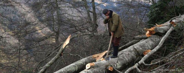 Фото - : 600x240 / 52 Кб