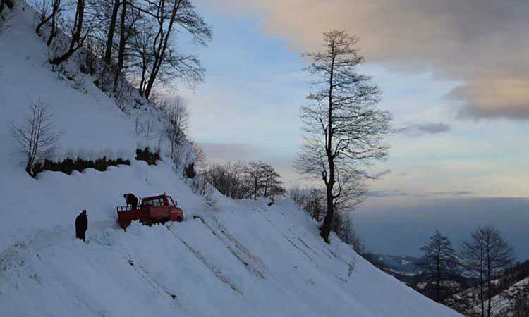 Фото - : 750x450 / 62 Кб