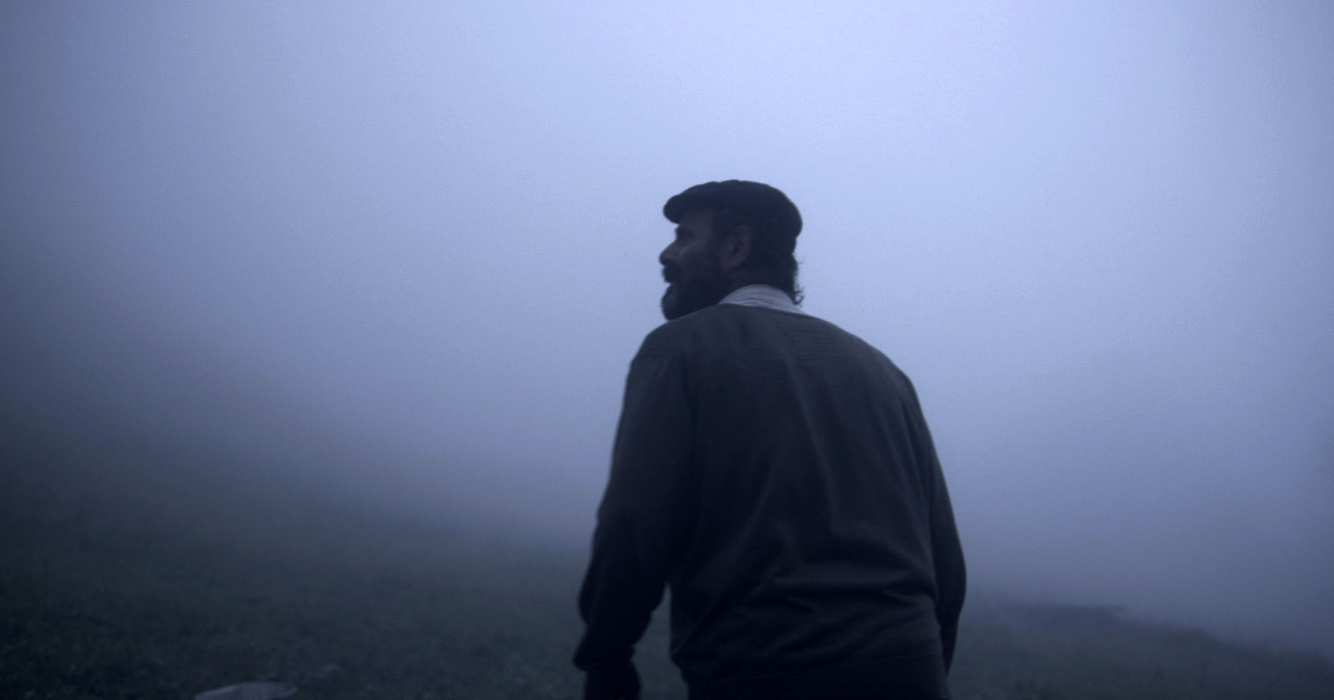 Фото - : 1920x1008 / 93 Кб