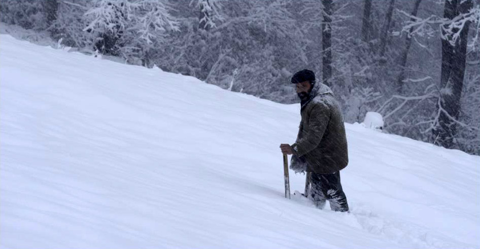 Фото - : 946x492 / 82 Кб