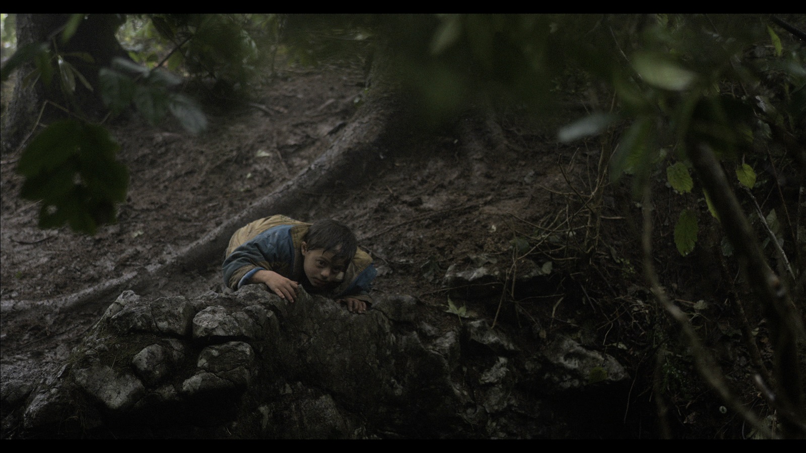 Фото - : 1600x900 / 383 Кб