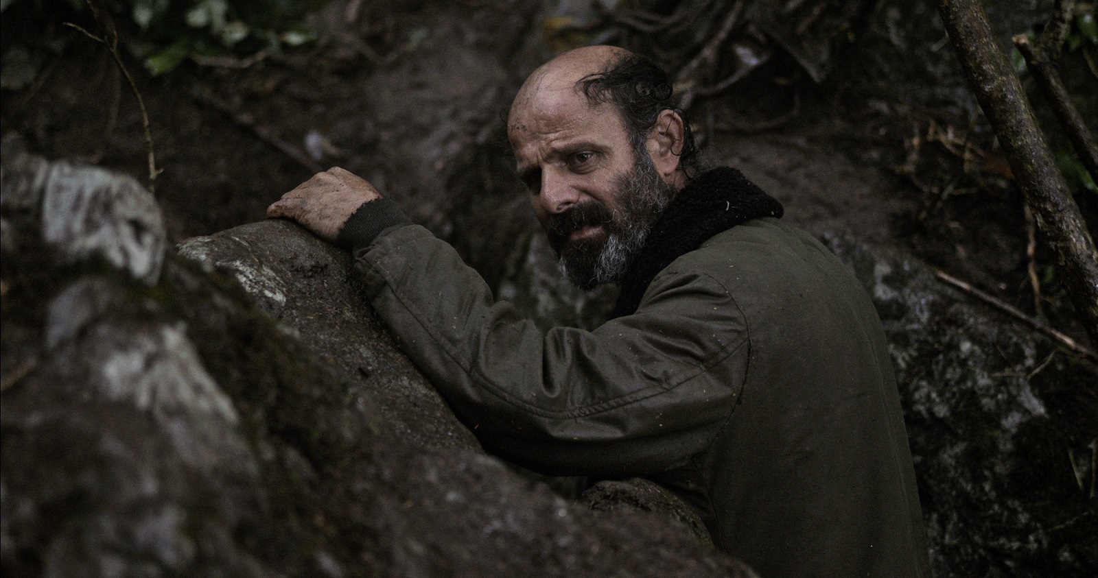 Фото - : 1600x843 / 414 Кб