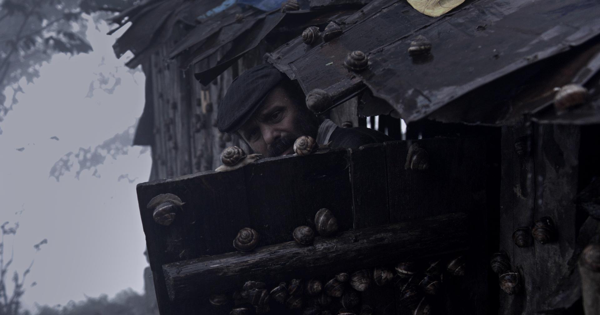 Фото - : 1920x1008 / 121 Кб