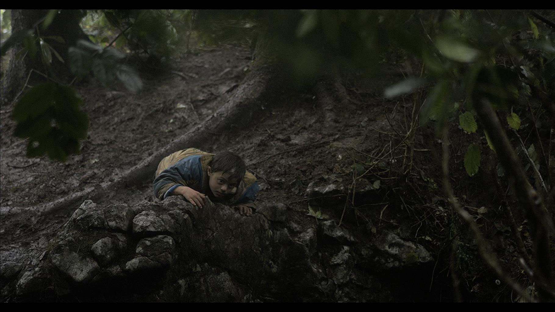 Фото - : 1820x1024 / 173 Кб