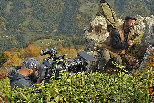 Фото - : 500x335 / 82 Кб