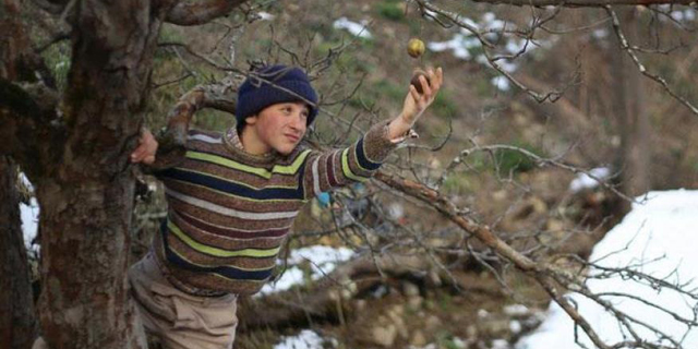 Фото - : 640x320 / 147 Кб