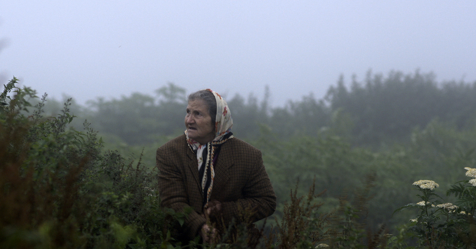 Фото - : 1600x838 / 447 Кб