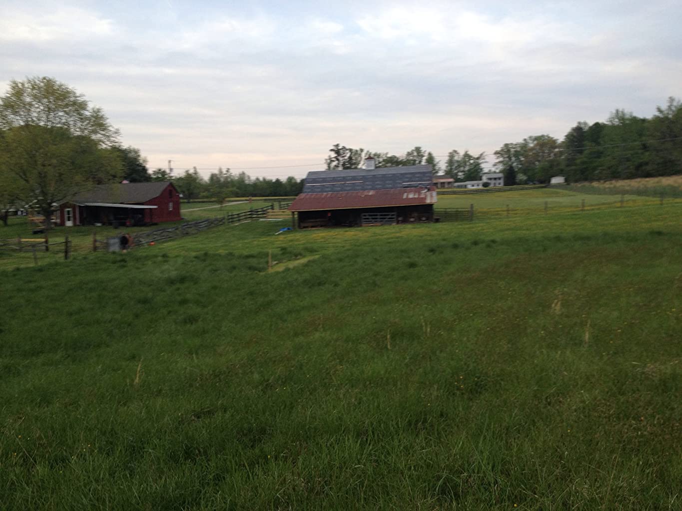 Фото - : 1365x1024 / 124 Кб