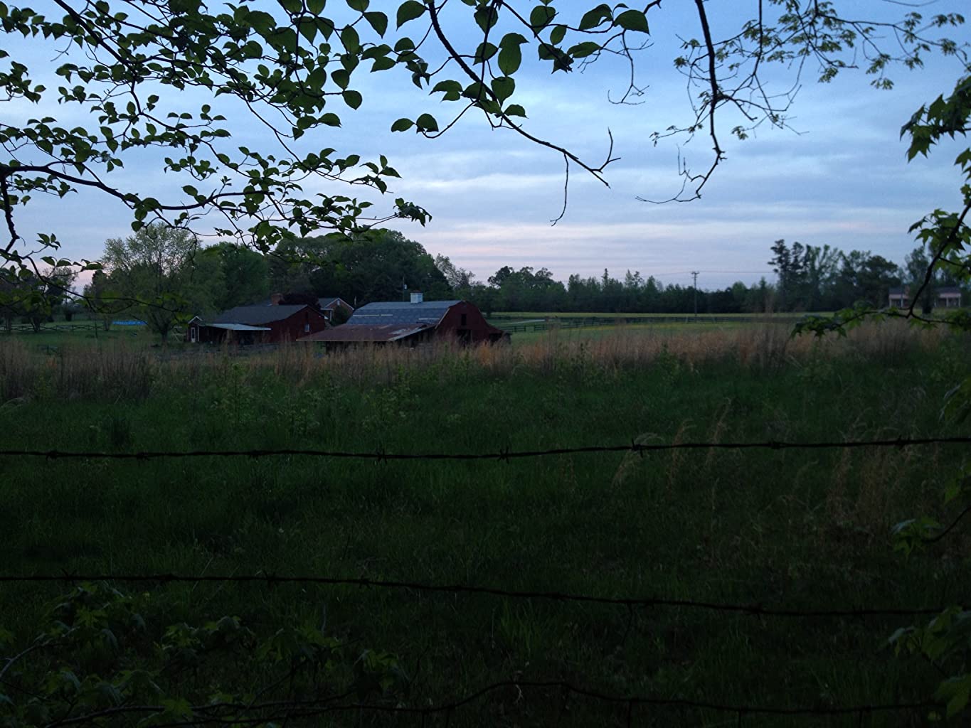 Фото - : 1365x1024 / 165 Кб