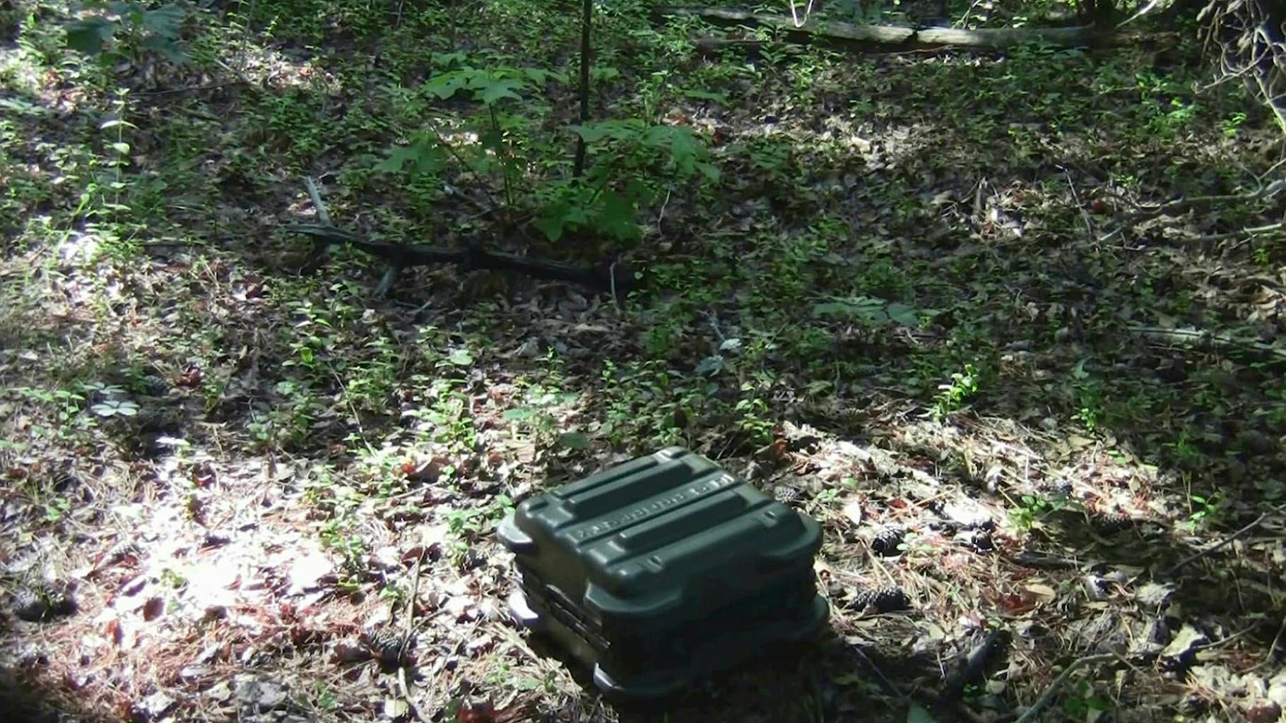 Фото - : 1820x1024 / 318 Кб