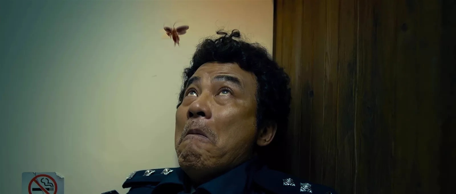 Фото - : 1600x680 / 119 Кб