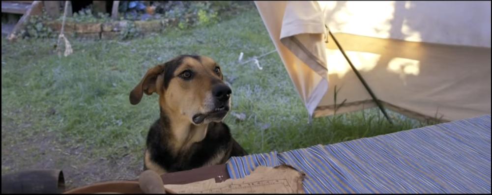 Фото - : 1001x397 / 49 Кб