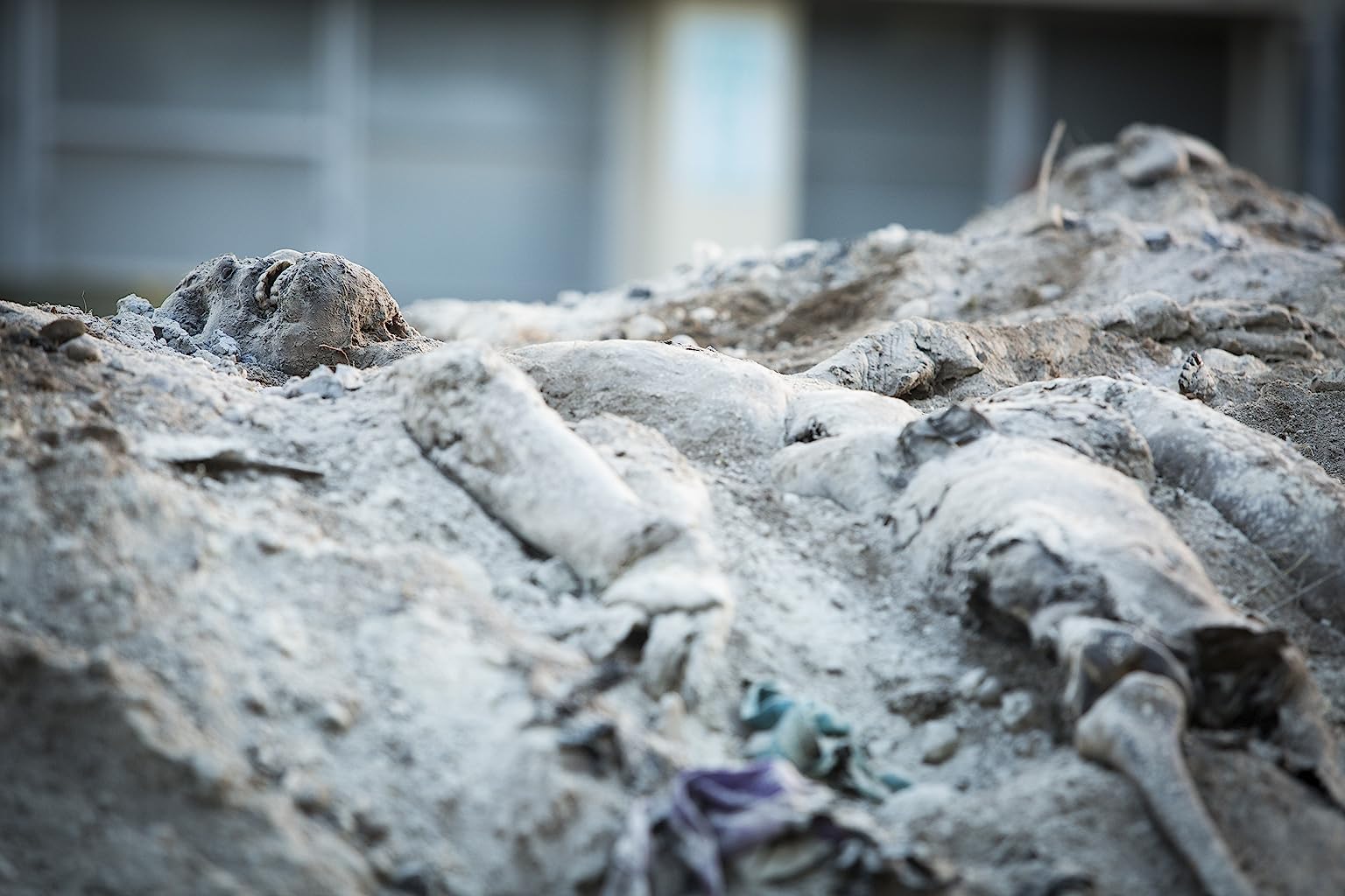 Фото - : 1536x1024 / 144 Кб