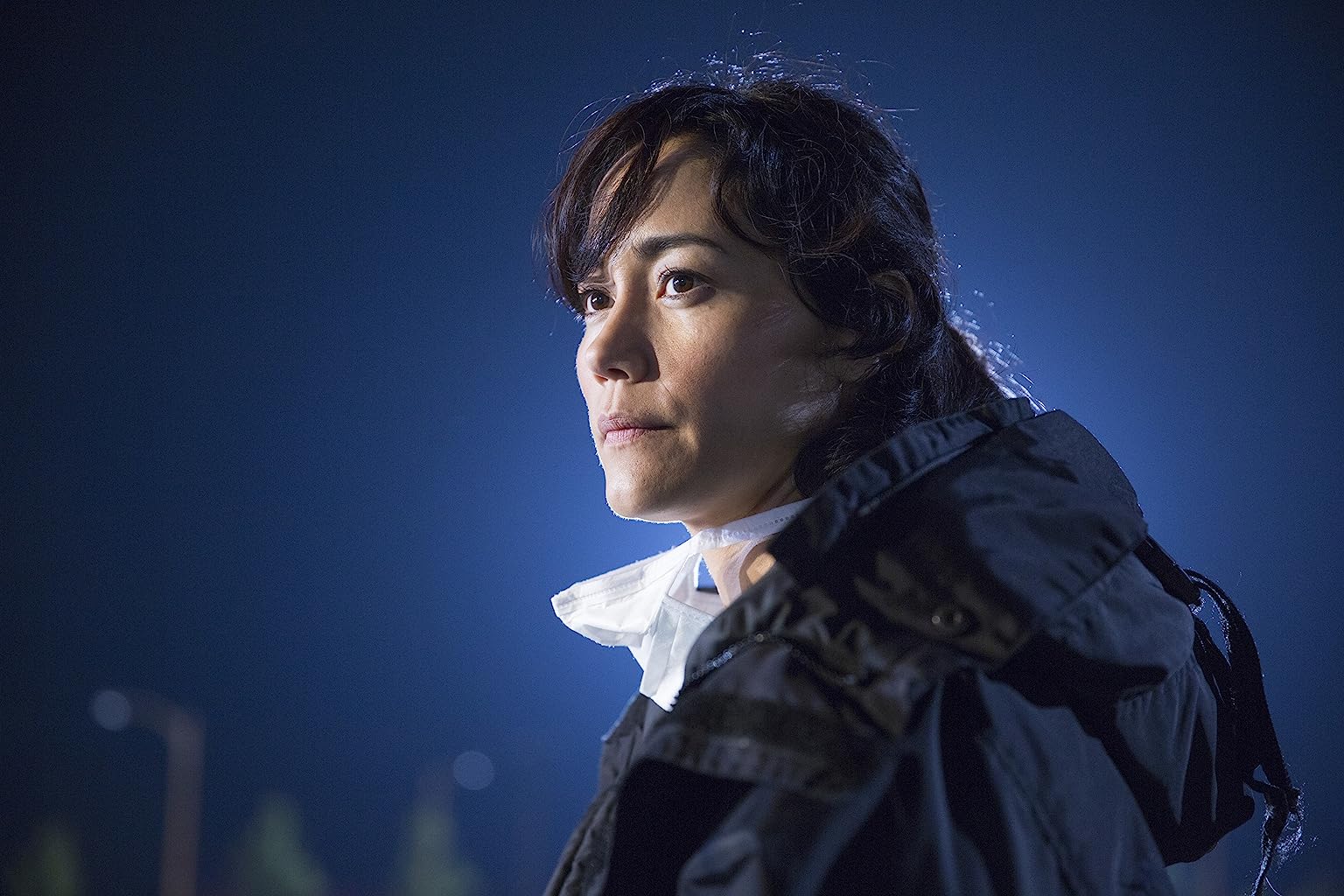 Фото - : 1536x1024 / 164 Кб