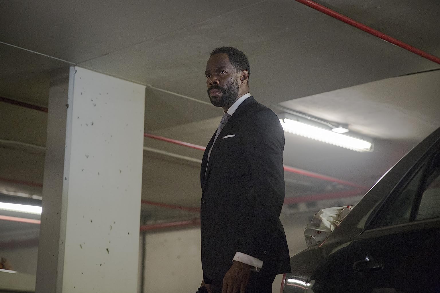 Фото - : 1536x1024 / 145 Кб