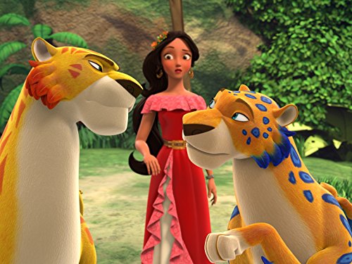 Фото - : 500x375 / 52 Кб