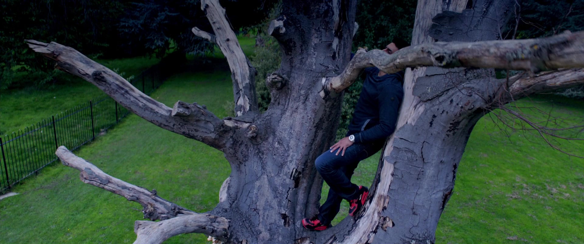 Фото - : 1920x804 / 259 Кб