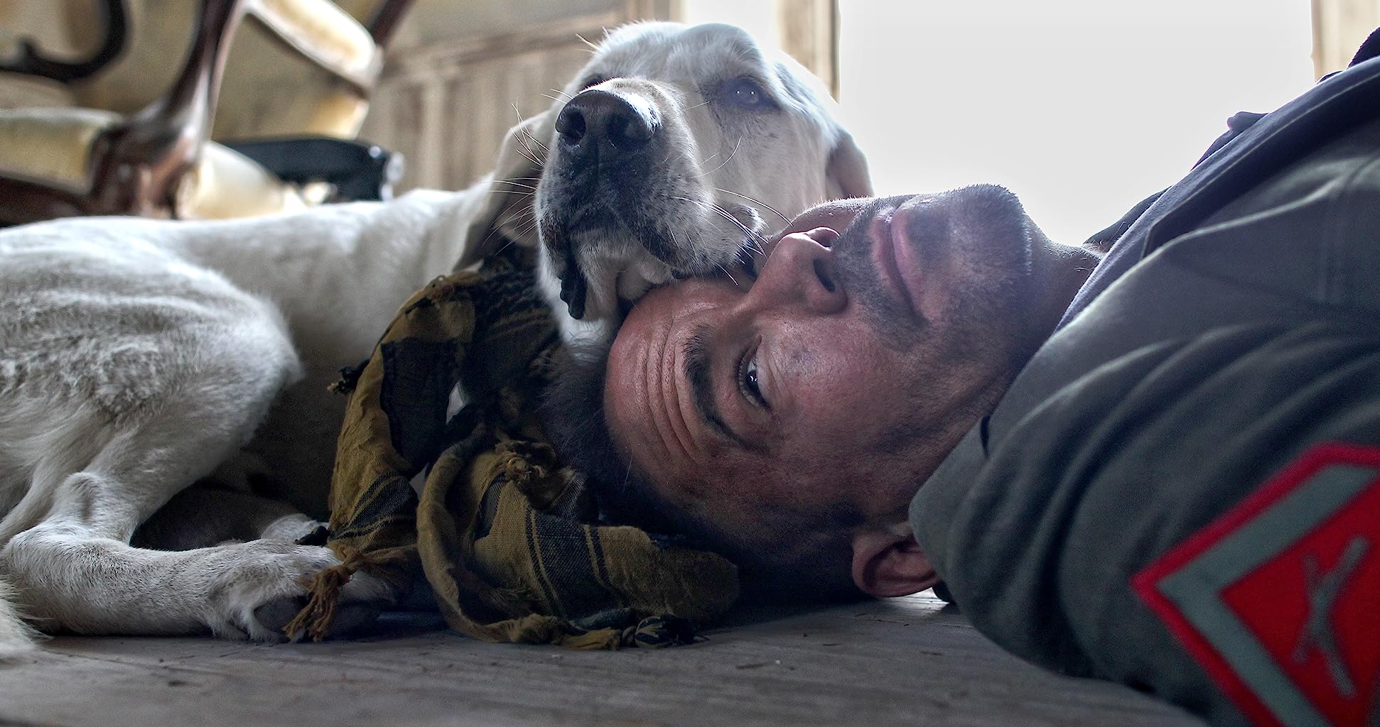 Фото - : 1942x1024 / 242 Кб