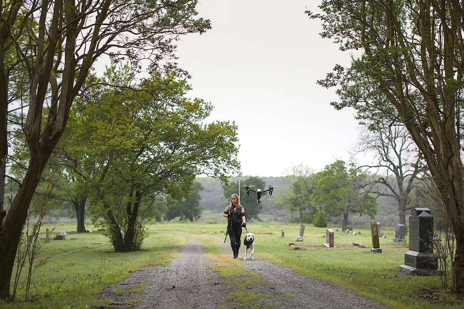 Фото - : 1536x1024 / 438 Кб