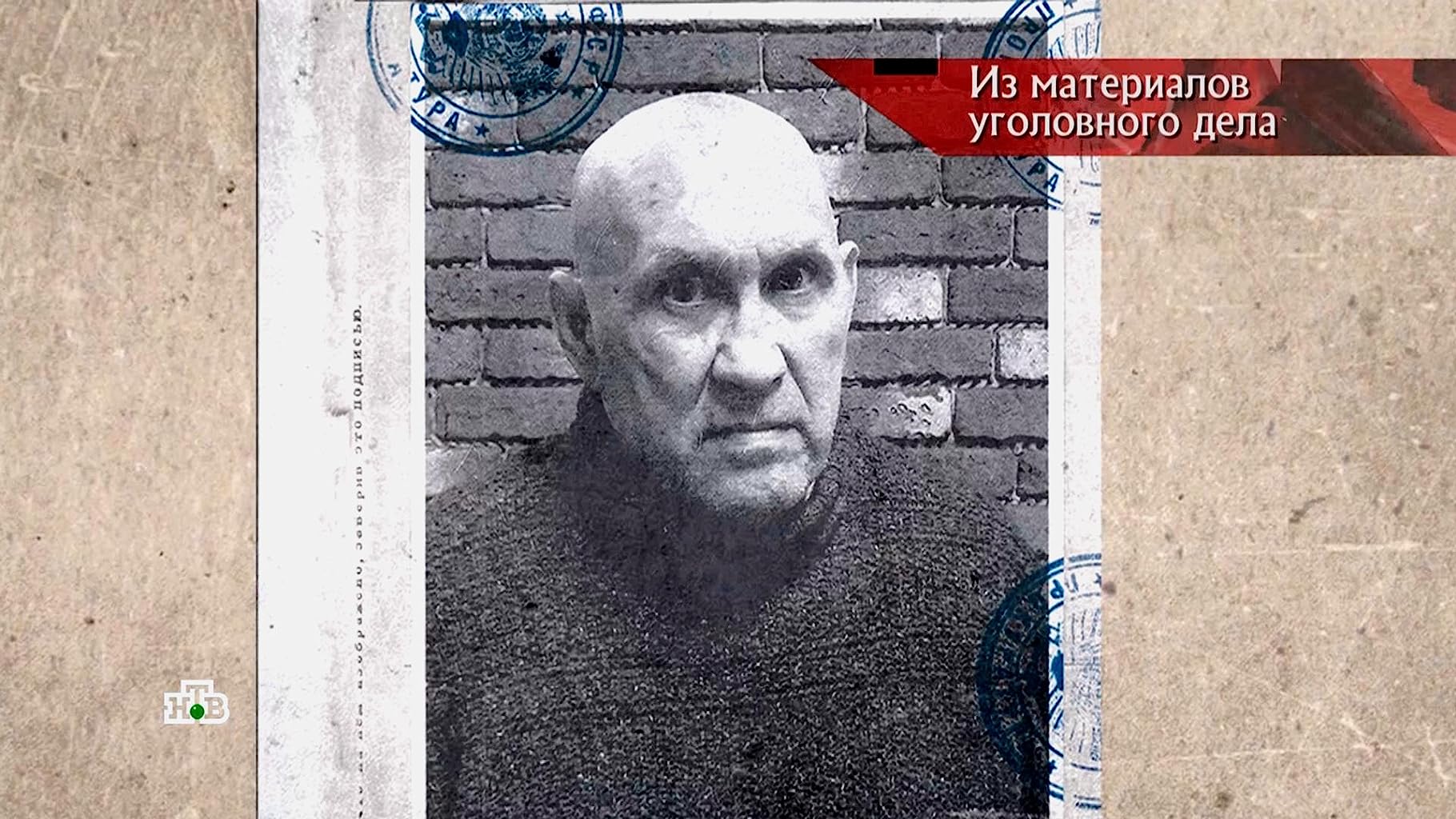 Фото - : 1820x1024 / 268 Кб