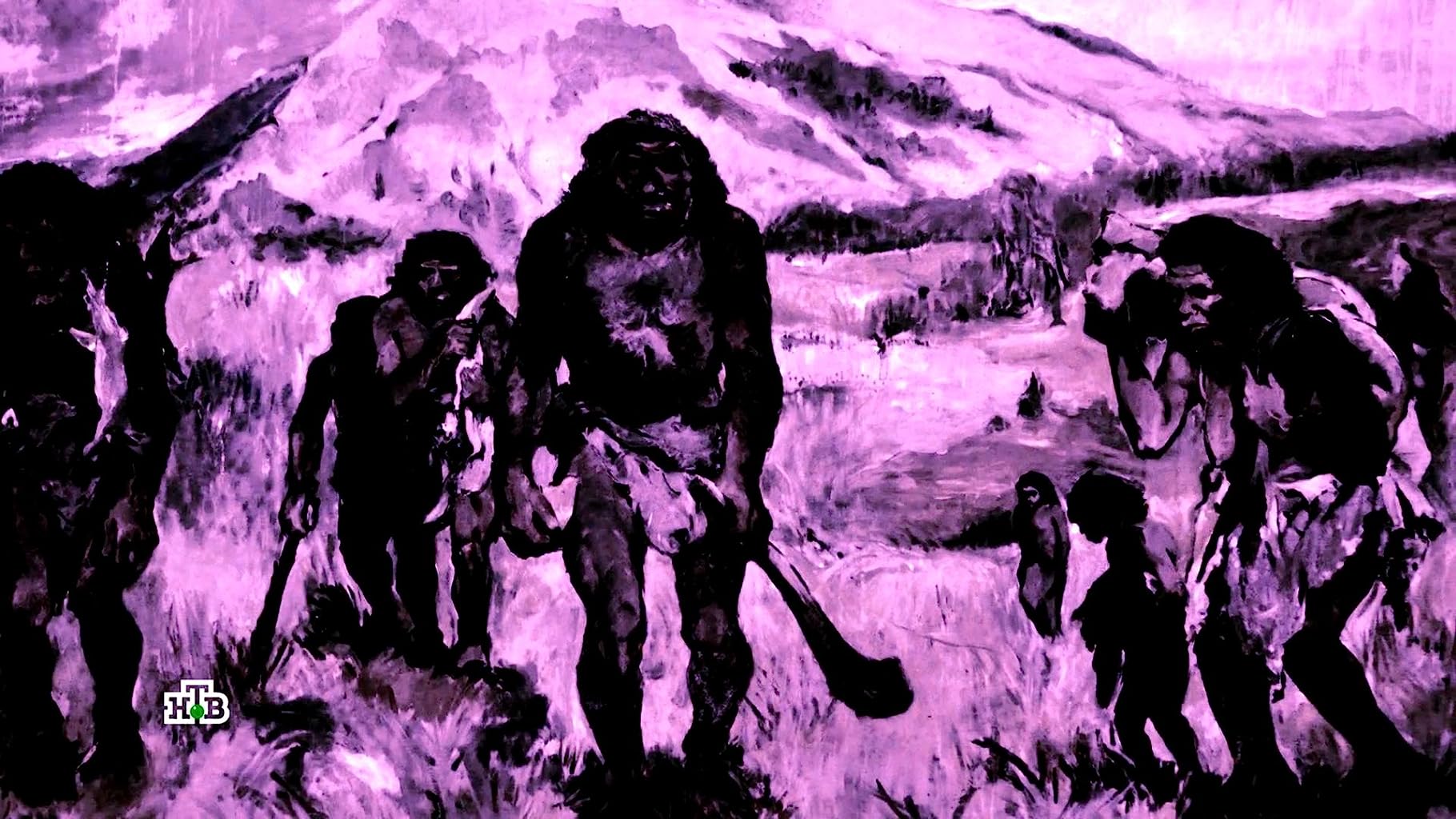 Фото - : 1820x1024 / 245 Кб