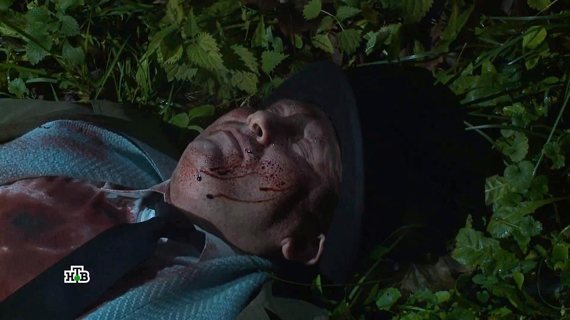 Фото - : 1820x1024 / 134 Кб