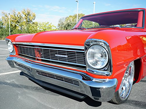 Фото - : 500x375 / 59 Кб