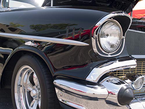 Фото - : 500x375 / 39 Кб