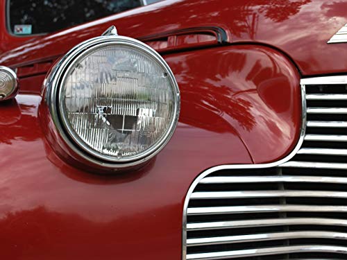 Фото - : 500x375 / 34 Кб