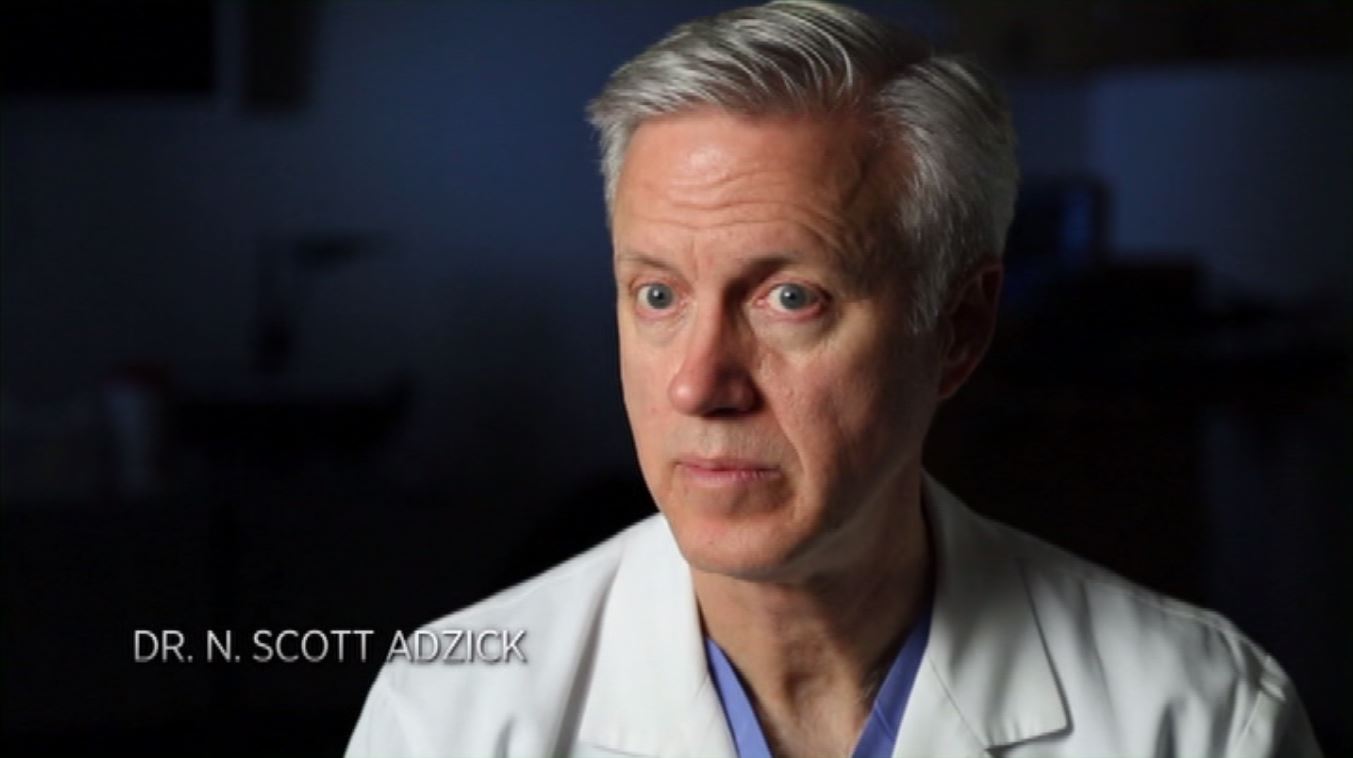 Фото - : 1353x758 / 51 Кб